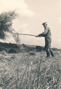 The haying in Forrières, Belgium