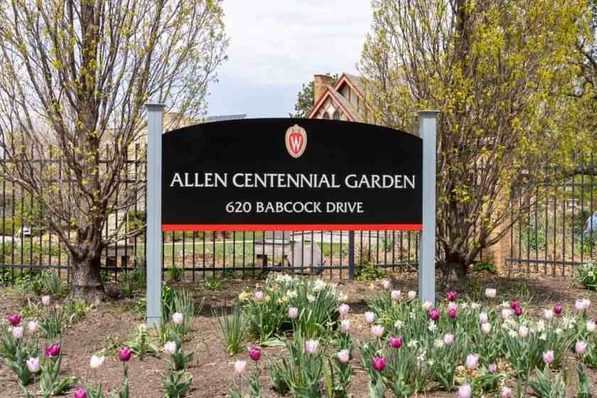 Allen Centennial Gardens