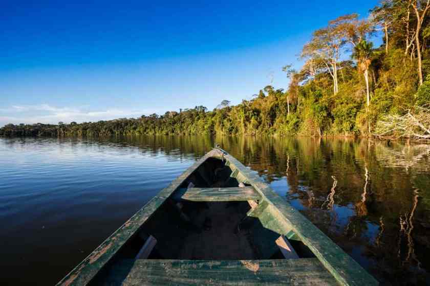 Amazon Rainforest in Brazil