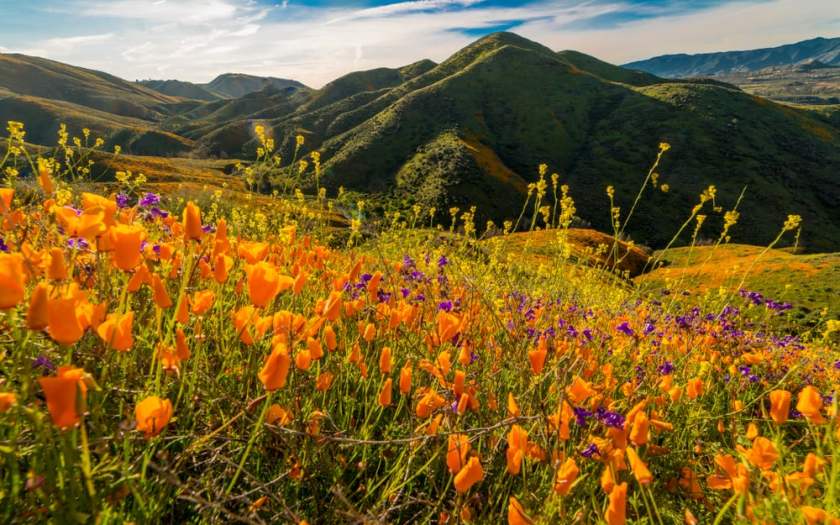 Antelope Valley, California In America