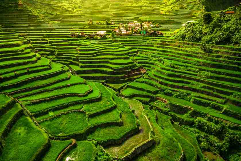 19 Breathtaking Places to Explore in The Philippines 17 Banaue Rice Terraces