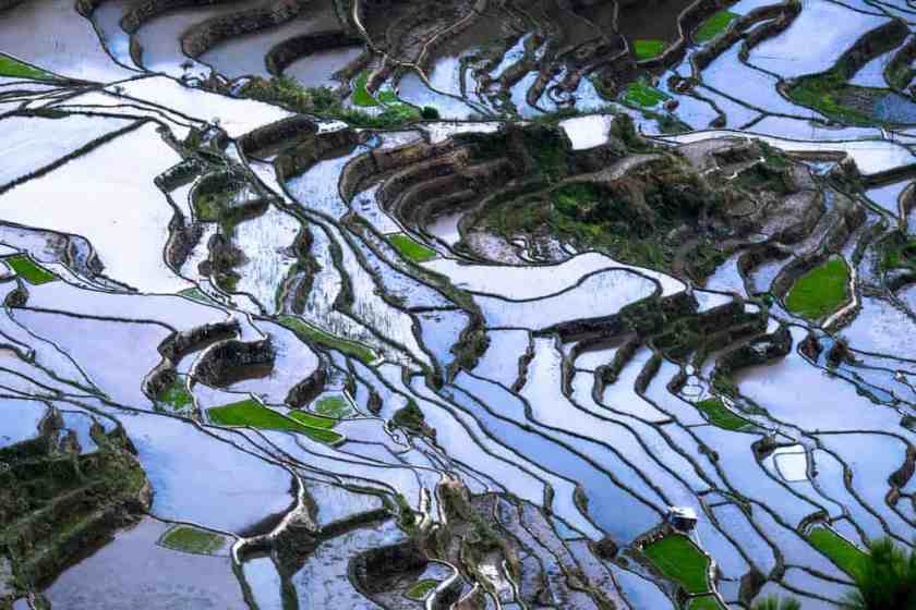 19 Breathtaking Places to Explore in The Philippines 16 Banaue Rice Terraces