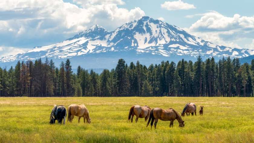 Bend Oregon Spring 