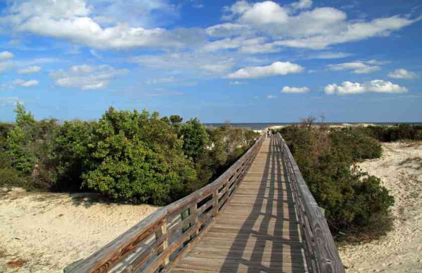 Cumberland Island Beach