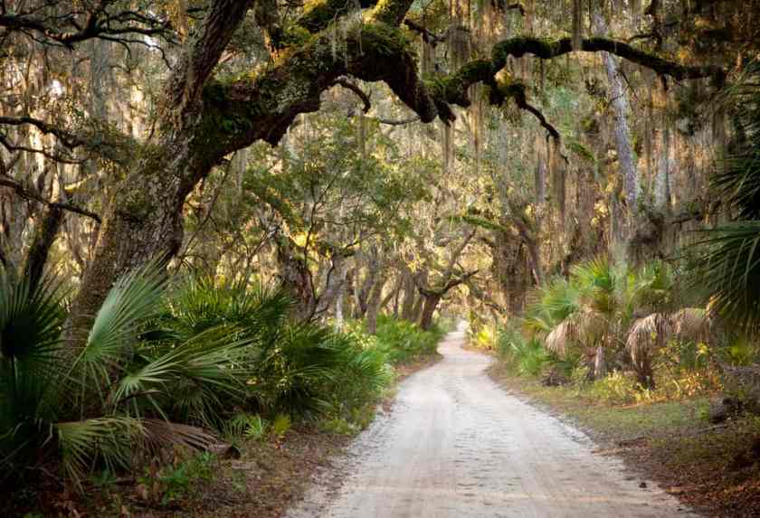 Cumberland Island