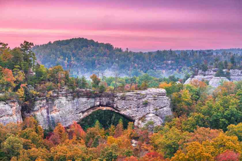 Daniel Boone National Forest