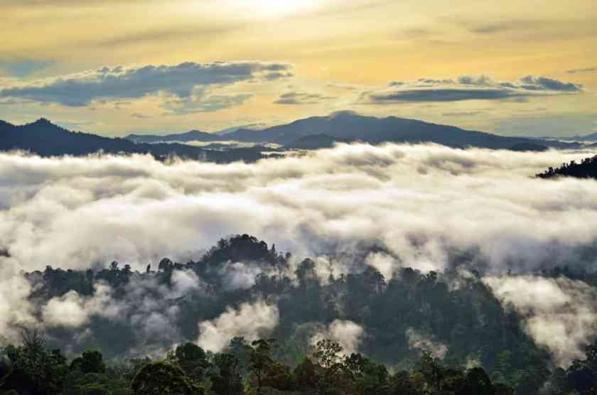 Danum Valley Malaysia