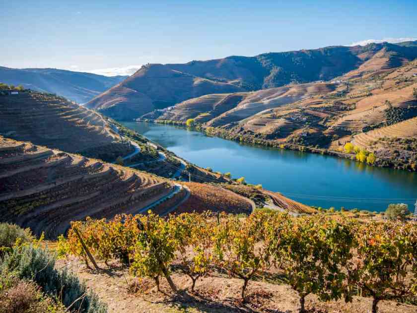 Douro Valley - stunning places to visit in Portugal