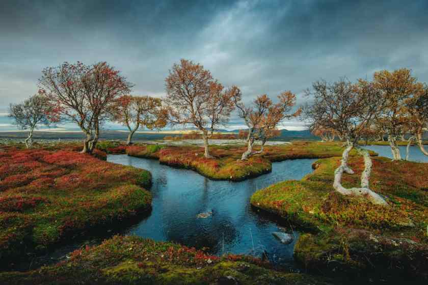 Femundsmarka National Park