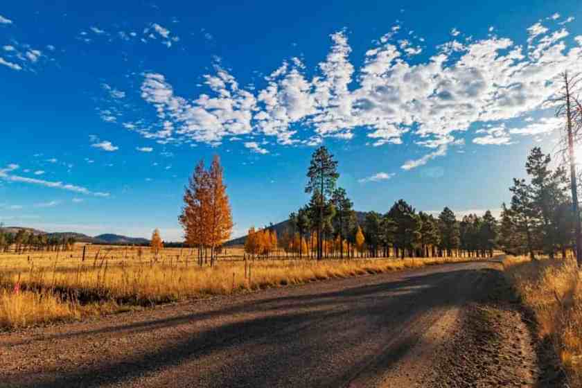 19 Amazing Places to Visit in November in the USA 13 Flagstaff Road in Arizona
