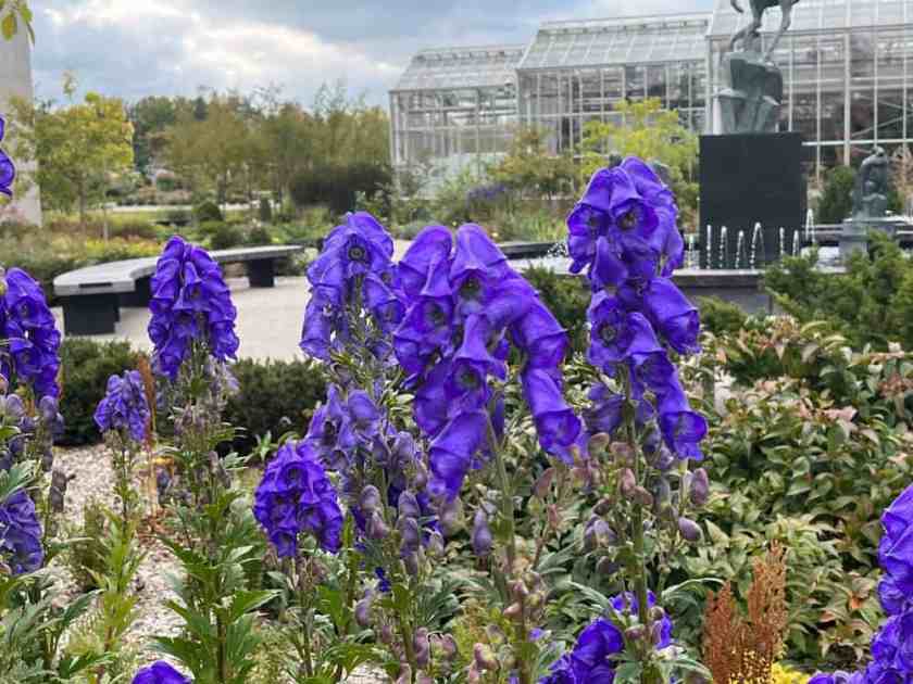 Frederik Meijer Gardens and Sculpture Park
