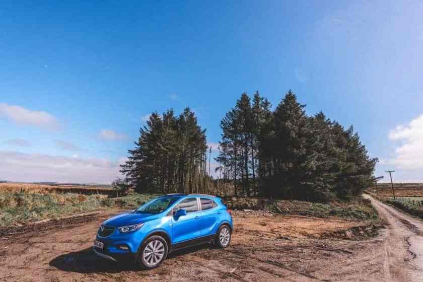 GlobalGrasshopper Road Trip
