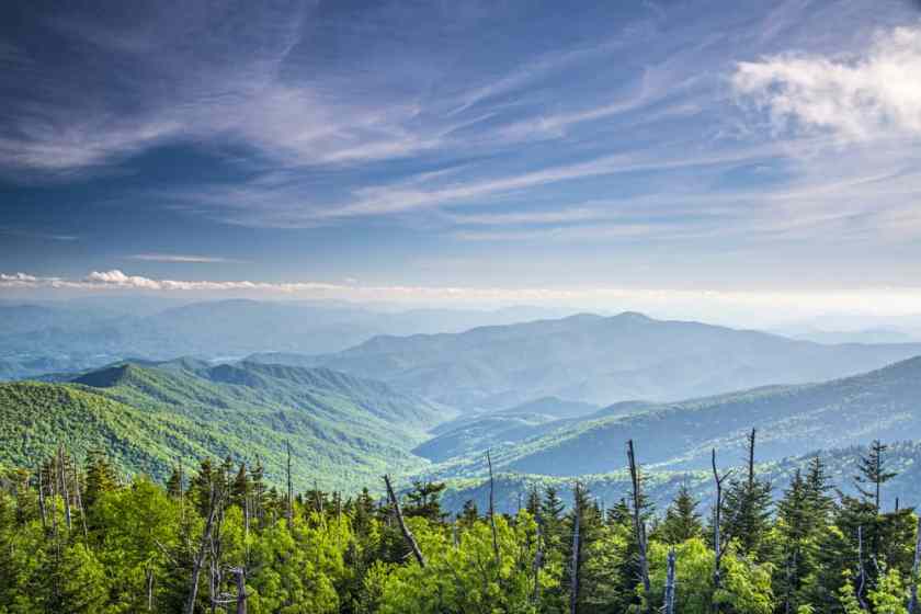 Great Smoky National Park summer