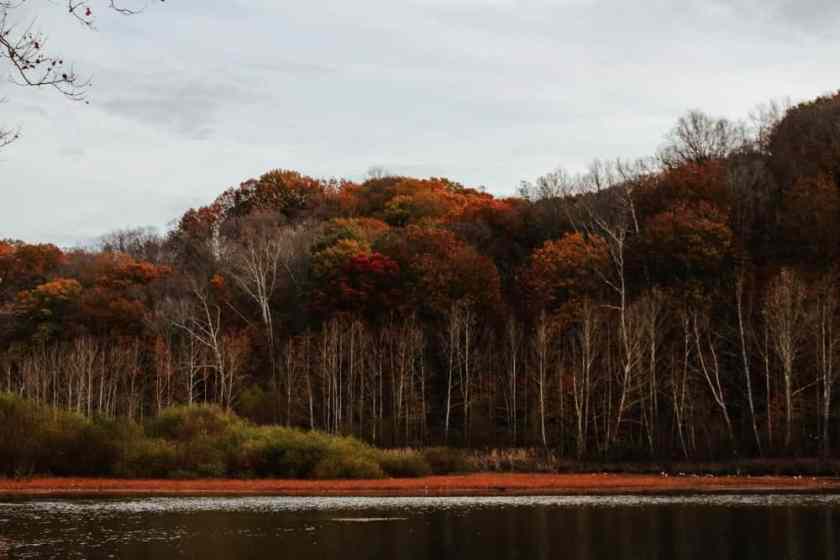 Griffy Lake Nature Preserve 