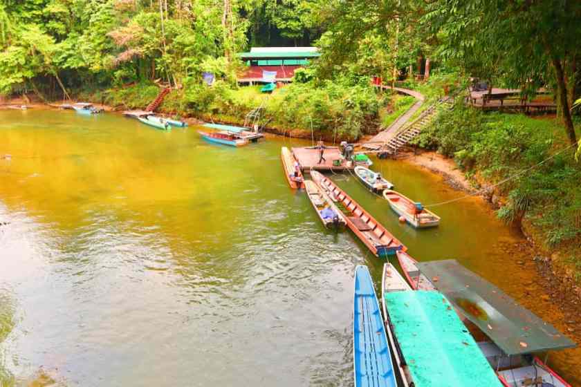 Gunung Mulu National Park River
