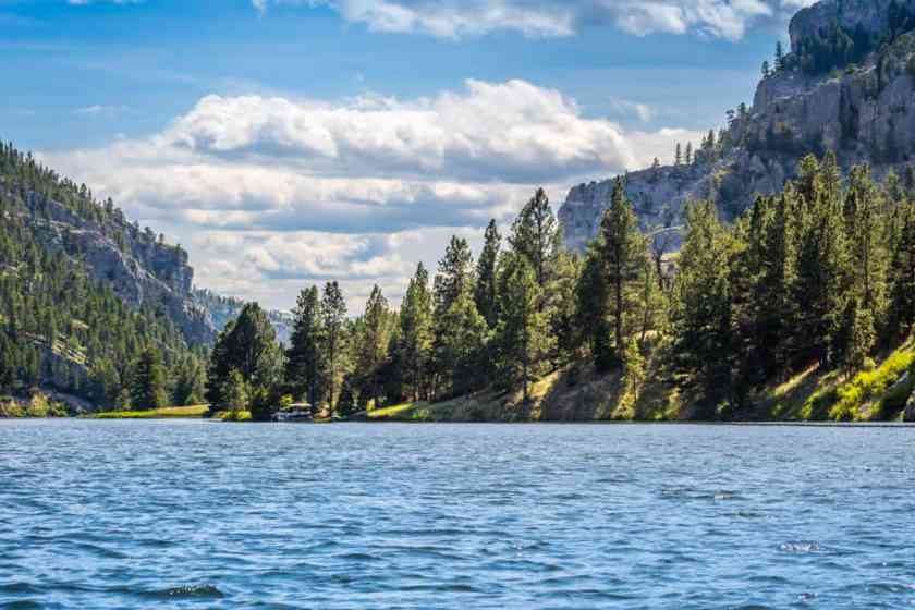 Helena National Forest