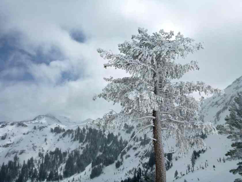 Kirkwood California winter resort 