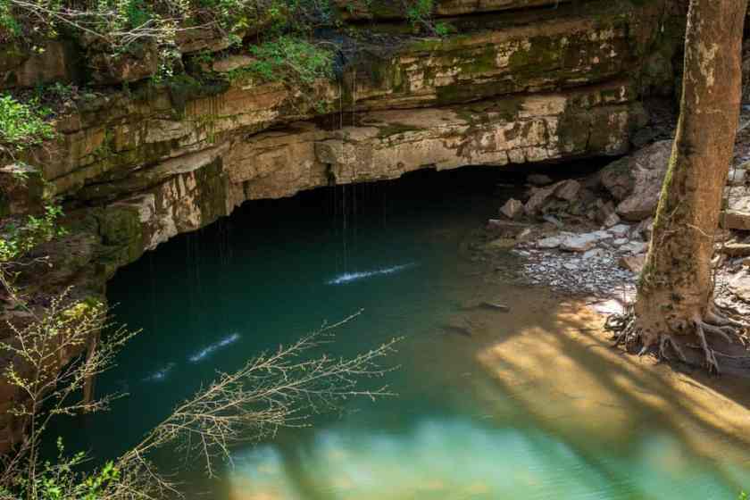 Mammoth Cave National Park