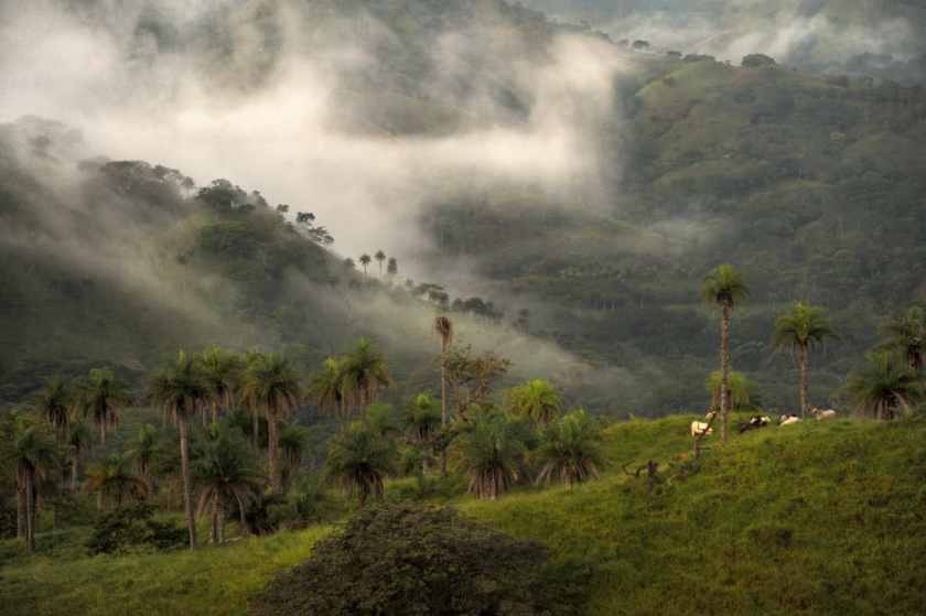 Monteverde Cloud Forest