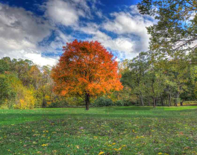 Mounds State Park Madison County