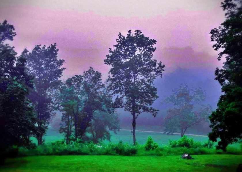 A misty morning in Dogwood Canyon