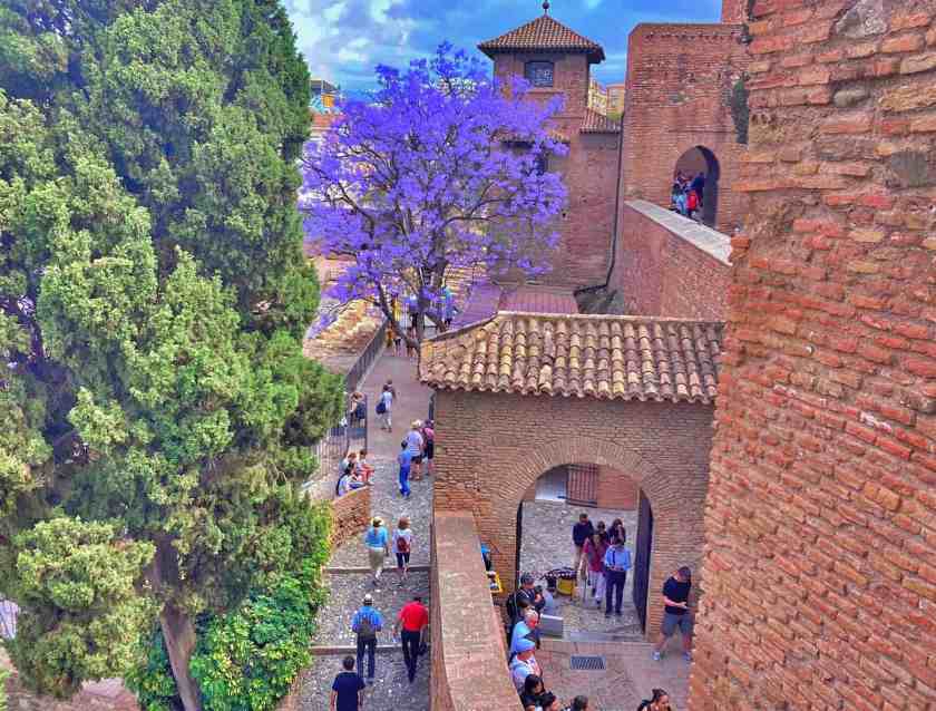 My photo of Alcazaba of Málaga taken in spring 2025