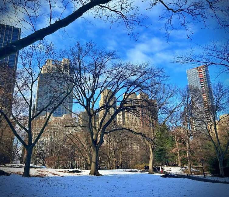 Top 15 Cool and Unusual Hotels in New York 23 My photo of Central Park taken in Winter 2025