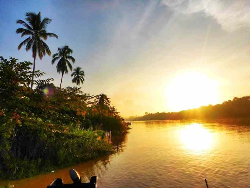 My photo of Kinabatangan River taken in November 2024