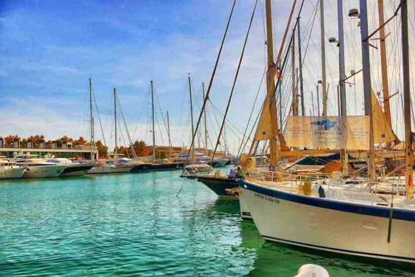 My photo of Palma Harbour in Majorca taken July 2024