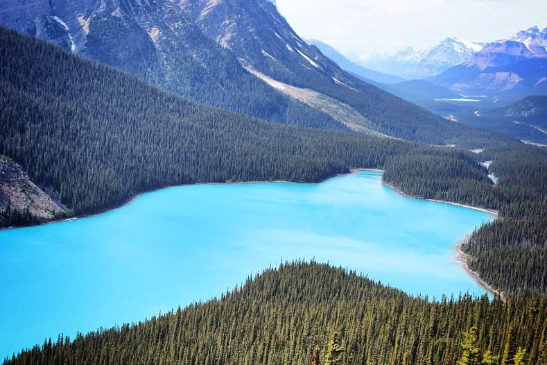 My photo of Peyto Lake in Banff National Park taken in 2024