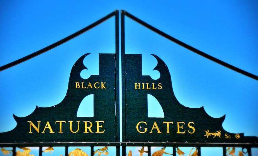My photograph of Black Hills National Forest Gate