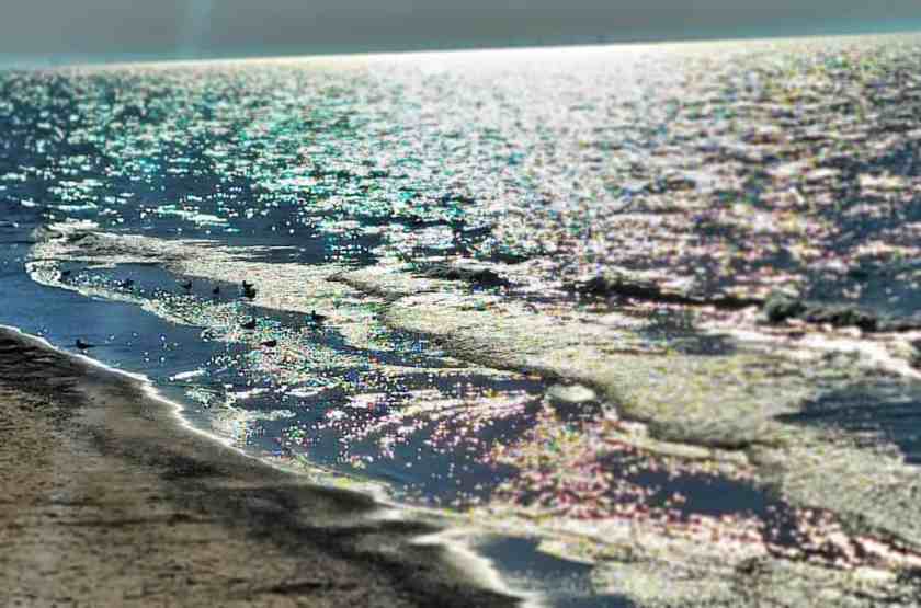 My shot of Lake Michigan Beach
