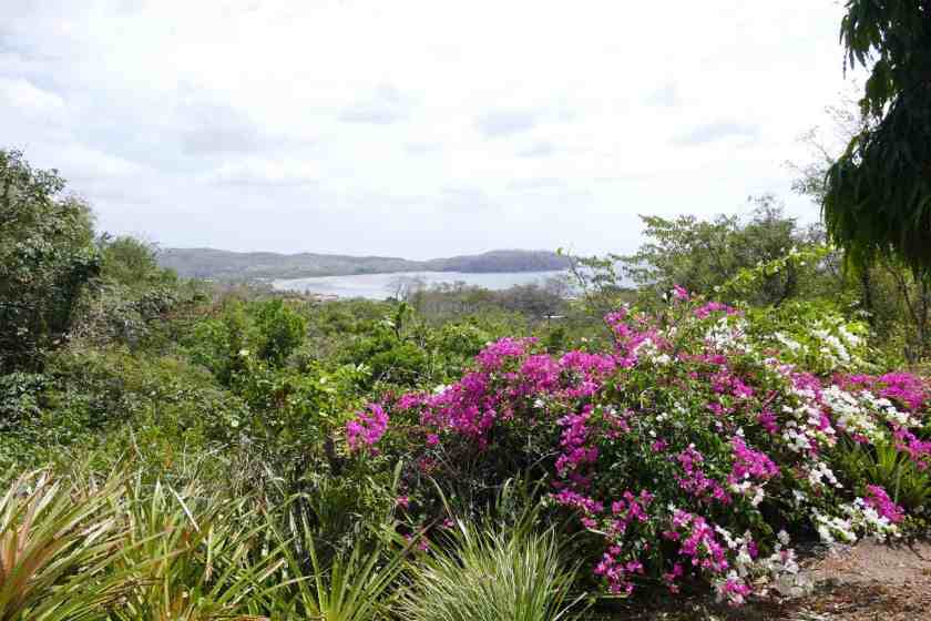 My shot of Playa Venao views