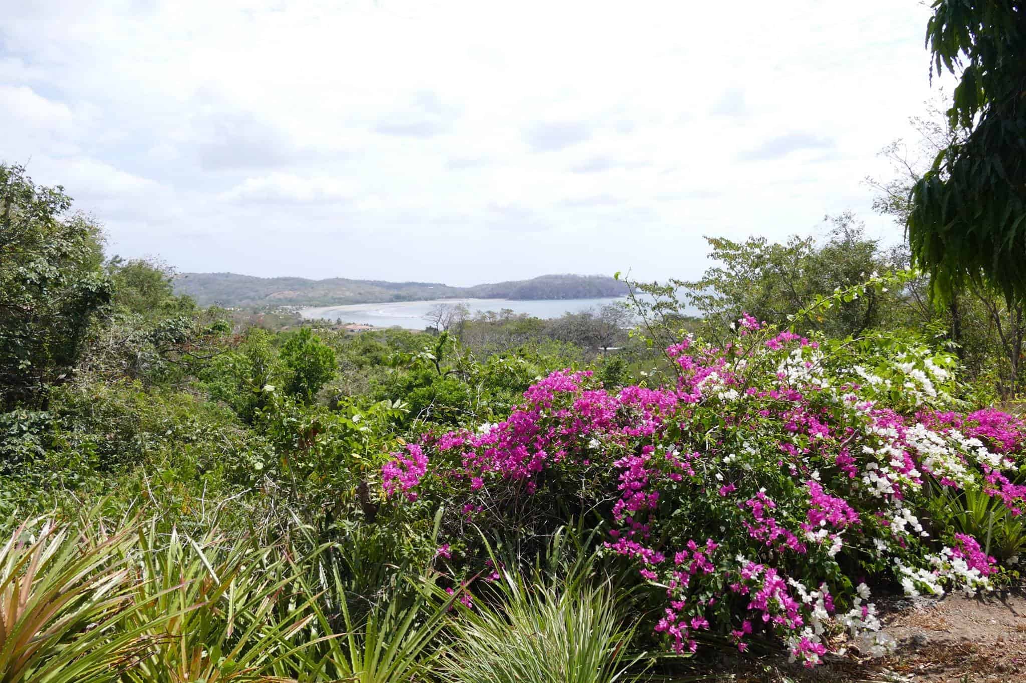 My shot of Playa Venao views