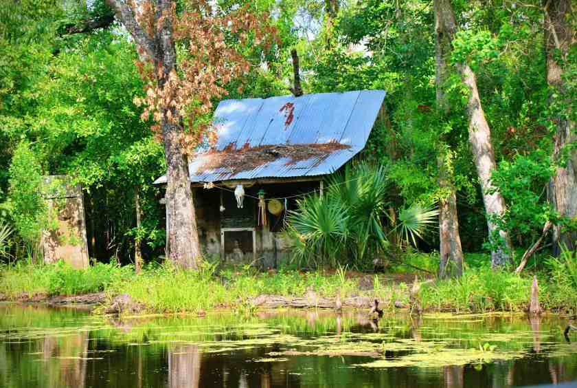 18 Awesome Places to Visit in March in USA 22 My snap of Fontainebleau State Park