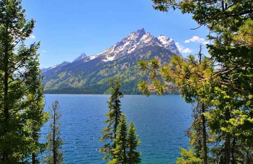 My snap of the Grand Teton National Park taken in spring