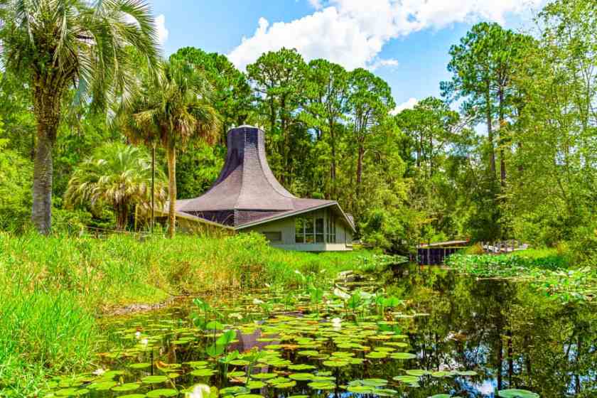 Okefenokee Swamp - tourist destinations in Georgia