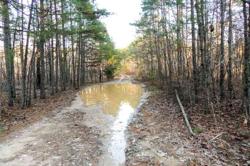 Ouachita National Recreation Trail