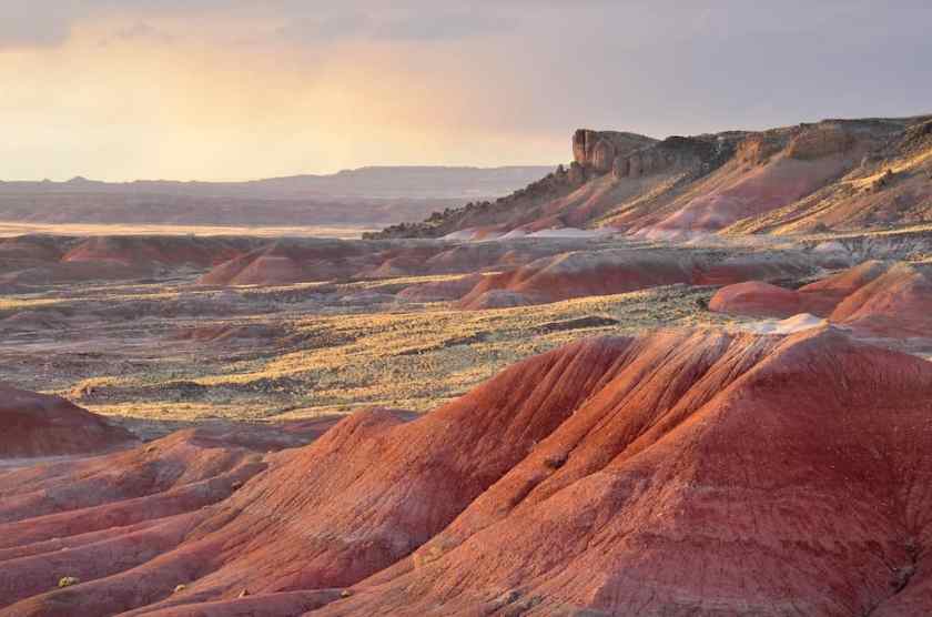 Petrified Forest National Park