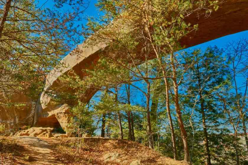 Red River Gorge and Natural Bridge