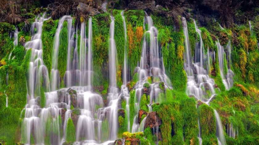 Thousand Springs State Park 