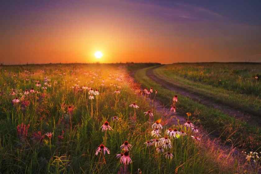 Wah'Kon-Tah Prairie Missouri