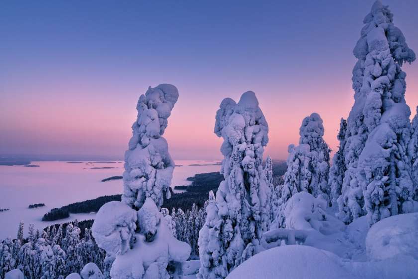 Winter Views of Lake Pielinen 