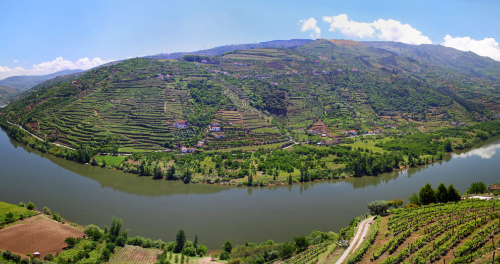 Portugal's Douro Valley: A Wine Connoisseur's Paradise